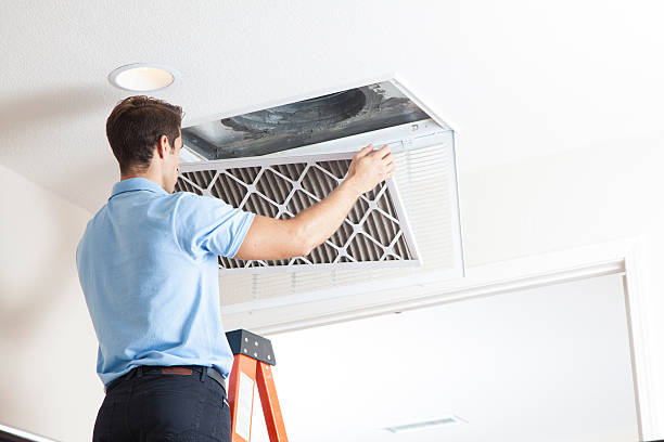 Best Air Filters and Purifiers in Jacksonville, FL